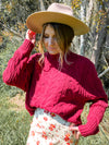Macaron Turtleneck Sweater